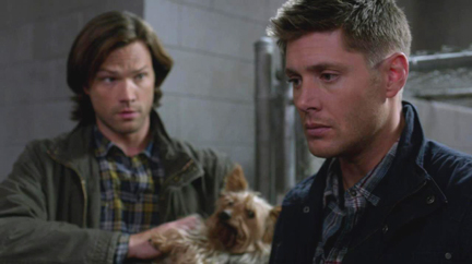 Sam scratches the dog's belly for information...reluctantly. Sam scratches the dog's belly for information...reluctantly.